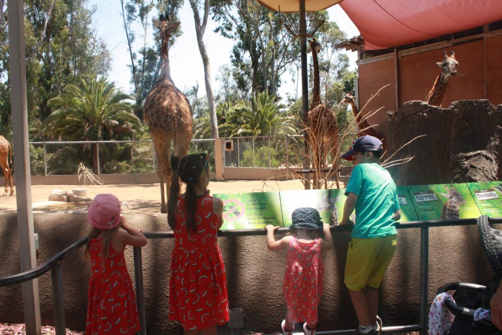 Zoo de San Diego en famille © Geneviève Morin