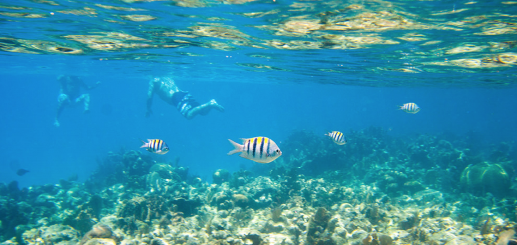 Roatan au Honduras en famille avec enfants