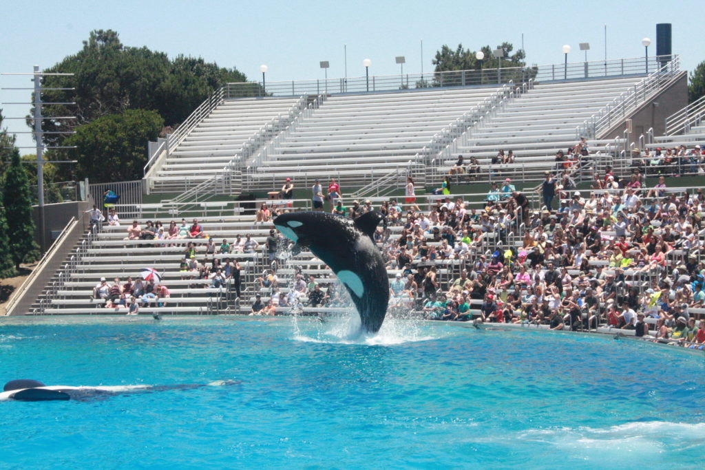 SeaWorld California © Geneviève Morin