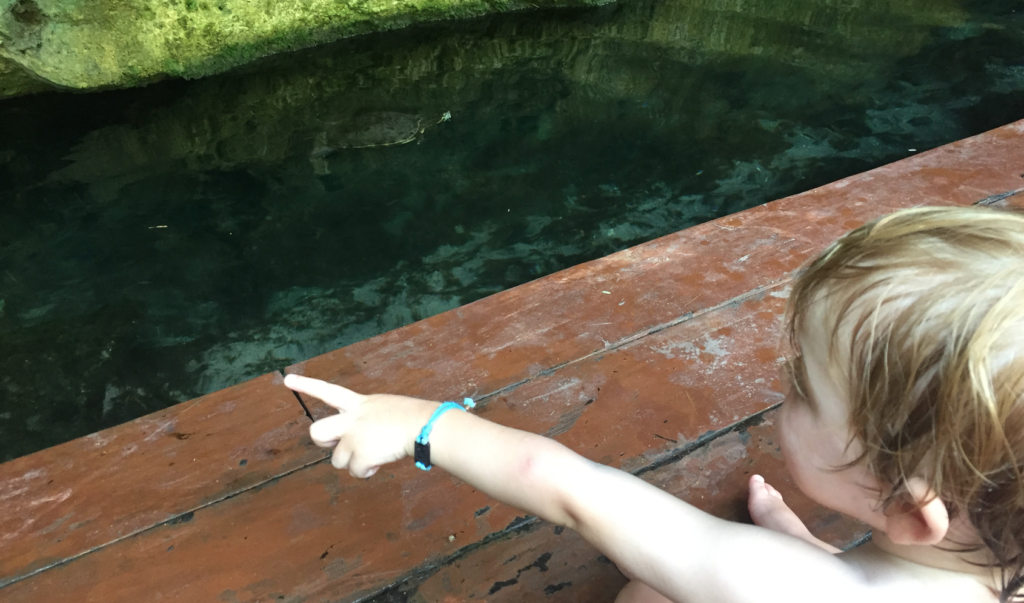 Grand Cenote, Riviera Maya © BB Jetlag
