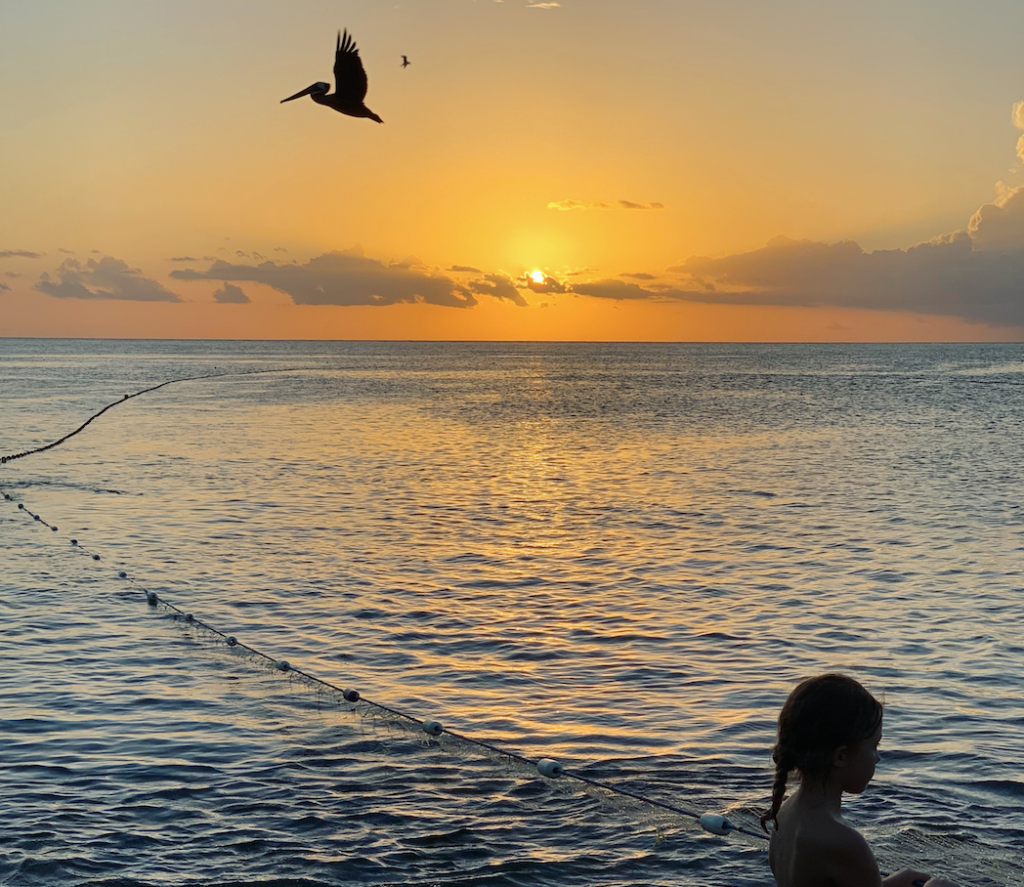 Martinique avec famille et enfant