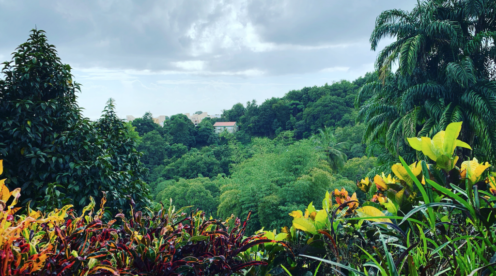 Martinique en famille
